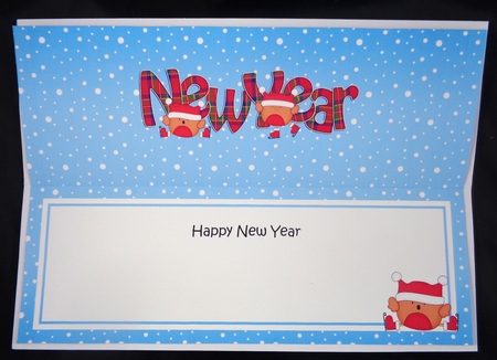 Large Dl New Year Bobbin Robin Insert by Linda Short