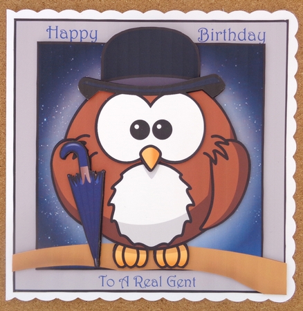 The Bowler Hat Owl by Linda Short