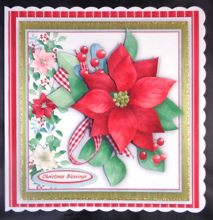 Beautiful Christmas Poinsettia  by Linda Short