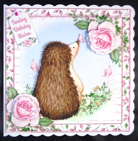 The Garden Hedgehog by Linda Short