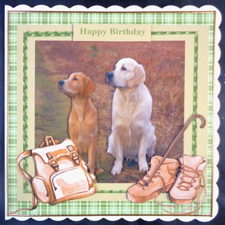 Country Walk by Linda Short