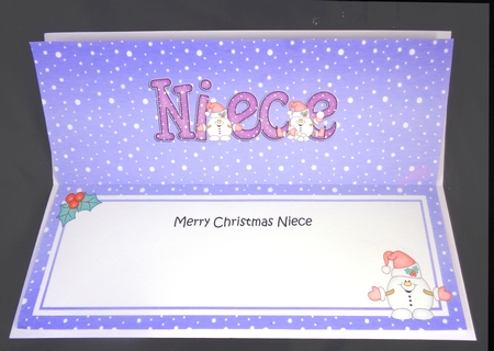 Large DL Christmas NIECE Snowball Sam insert by Linda Short