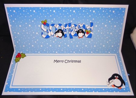 Large DL Merry Christmas from SCOTLAND insert by Linda Short
