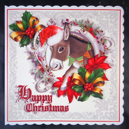 Donkey In A Wreath by Linda Short
