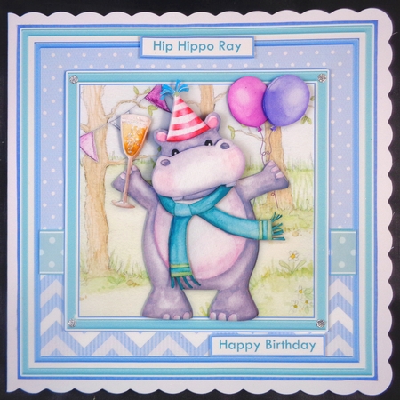 HIP HIPPO RAY ITS YOUR BIRTHDAY 8x8 Decoupage & Insert Mini Kit by Linda Short