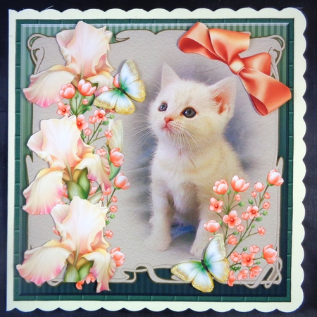 Kitty by Linda Short