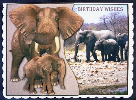Raised Elephants by Linda Short