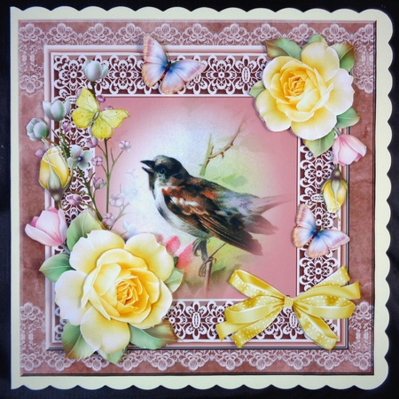 Bird Pink by Linda Short