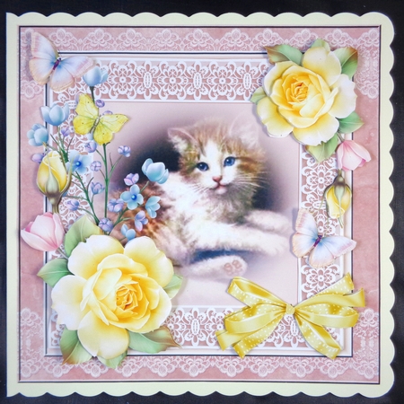 Cat  Pink by Linda Short