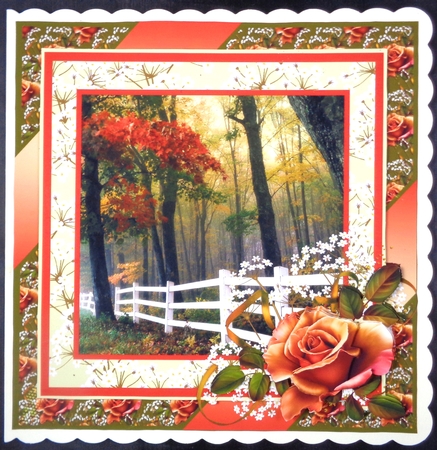 Peach Rose With Forest Scenery by Linda Short