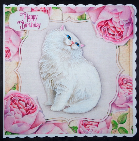 Pretty White Kitty Cat - Mini Card Kit 1 by Linda Short