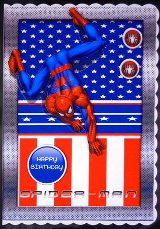 Spiderman by Linda Short