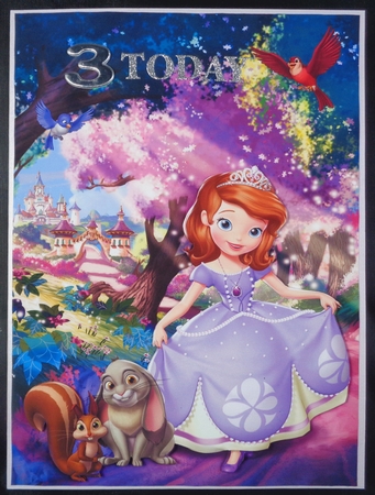 Sofia the First Princess A5 Quick Card by Linda Short