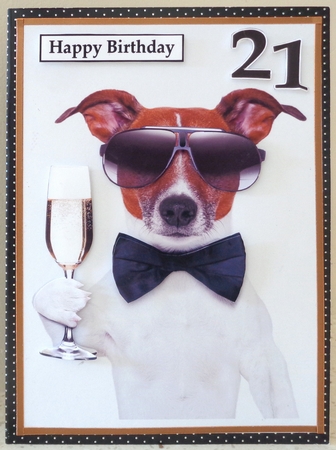 Funny Champagne Dog A5 Quick Card by Linda Short