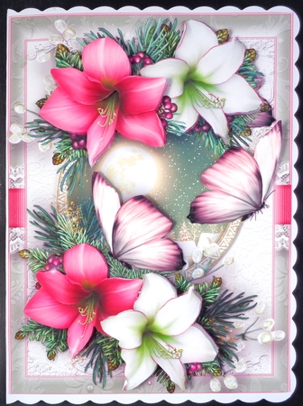 Amaryllis Winter Scene A5 Card Front Kit by Linda Short