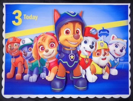 Paw Patrol Pups Characters A5 Quick Card by Linda Short