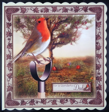 The Little Robin by Linda Short