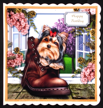Cute dog in boot on window ledge by Linda Short