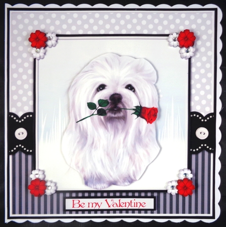 White dog, red rose by Linda Short