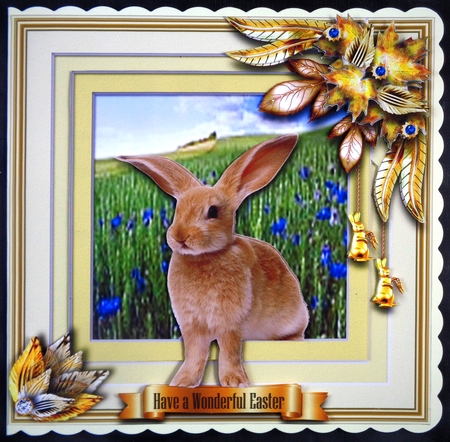 Animals Stepping Out - Bunny by Linda Short