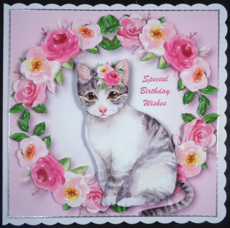 Pretty Kitty by Linda Short