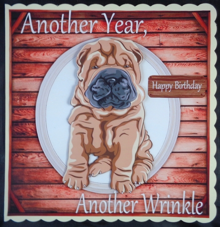 Another Wrinkle Sharpei 8x8 by Linda Short