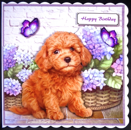 Cute dog with flower baskets by Linda Short