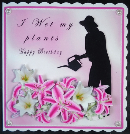 I Wet My Plants - Decoupage by Linda Short