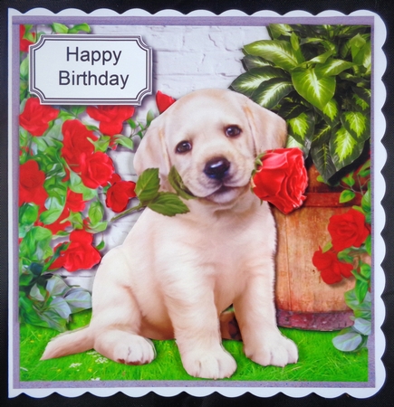 Labrador pup with roses by Linda Short