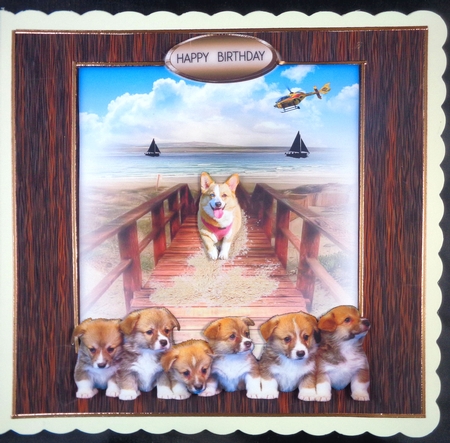 corgi by Linda Short
