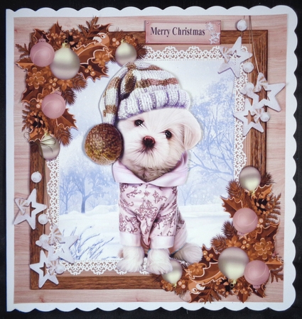 Gorgeous Dog With Bobble Hat & Coat Wooden Frame 8x8 by Linda Short