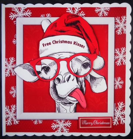 Gorgeous White Funny Giraffe  8x8 Mini Kit by Linda Short