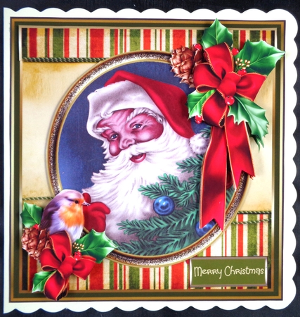 Festive Santa and robin by Linda Short
