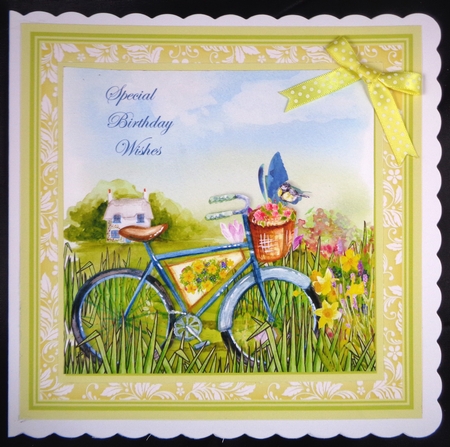 Flower Basket Bike in the Country by Linda Short