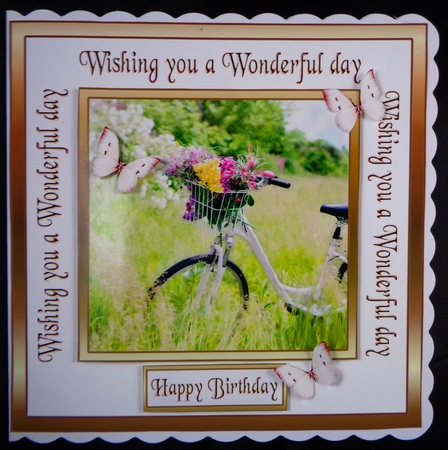 WD Flower Bicycle by Linda Short