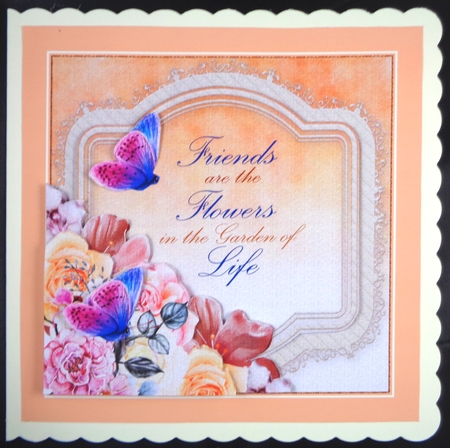 10 Flower Backgrounds In Different Colors by Linda Short
