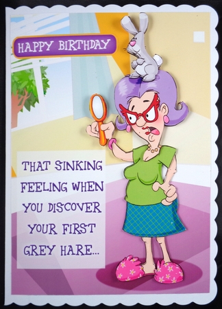 Veras Grey Hair by Linda Short