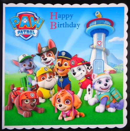 Paw Patrol 2 8x8 Quick Card by Linda Short