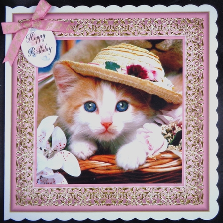 Cute Kitten 8x8 Quick Card by Linda Short