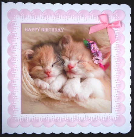 Cute Kitten 3 8x8 Quick Card by Linda Short