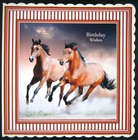 Horses 2 8x8 Quick Card by Linda Short