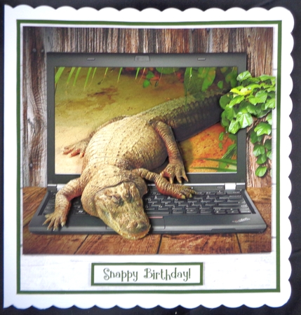 SNAPPY by Linda Short