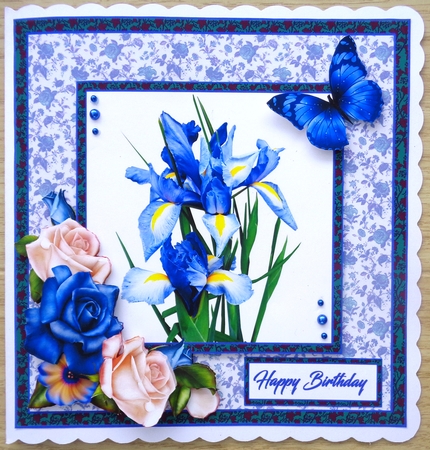 SC Blues Irises by Linda Short
