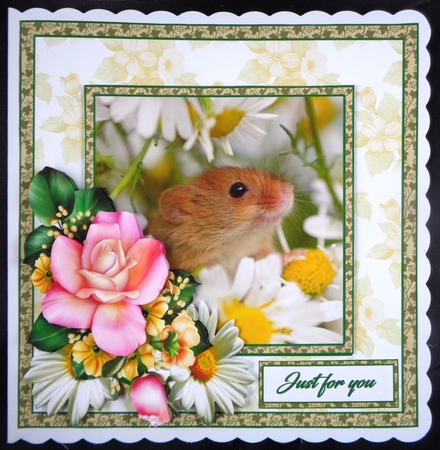 SC Field mouse by Linda Short