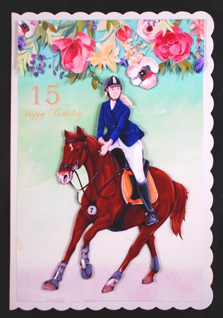 The Show Jumper Quick Card by Linda Short