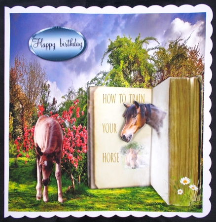 horse book by Linda Short