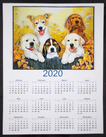 2020  calendar portrait Peeking Pups by Linda Short