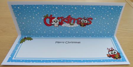Christmas Little Hoot Owls Matching Large Dl Insert by Linda Short