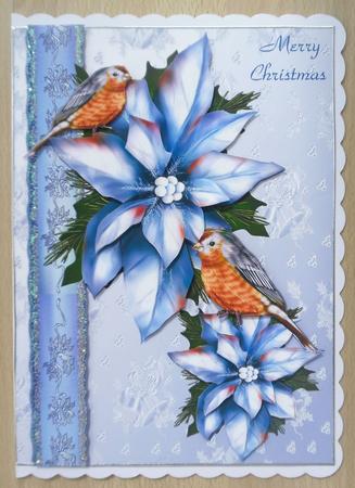 Robins and Pretty Poinsettias by Linda Short