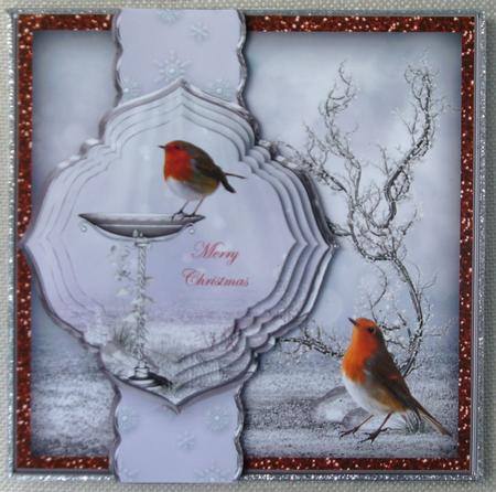 Robins in the Snow Fancy Border Card Mini Kit by Linda Short